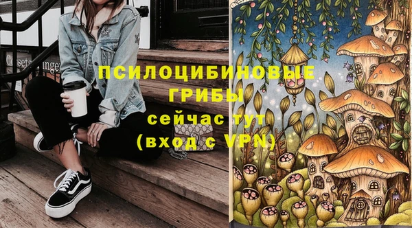 соль ск Няндома